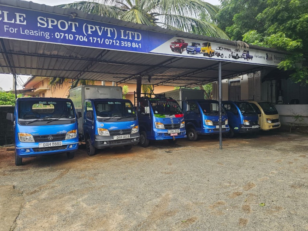 Expert Team